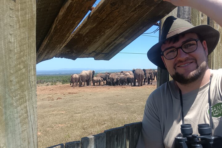 Port Elizabeth Half-Day Addo Elephant National Park Tour