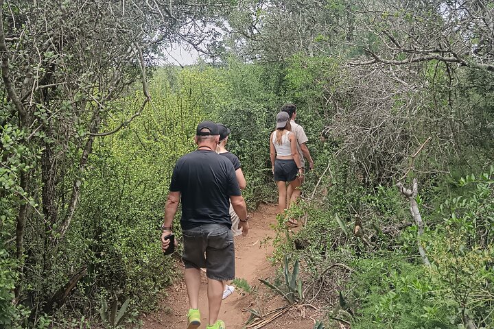 Port Elizabeth Half-Day Addo Elephant National Park Tour