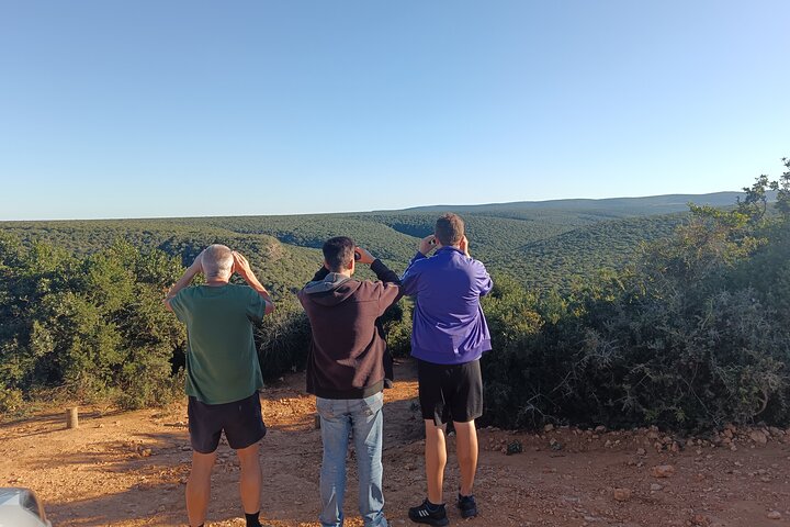 Port Elizabeth Half-Day Addo Elephant National Park Tour