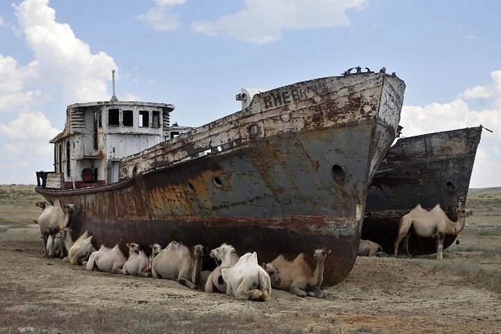 Daytrip From Khiva to Aral Sea Cemetery Of Ships . All In One