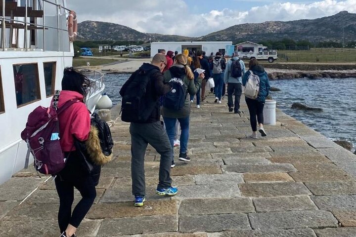 ASINARA ISLAND-TOUR full day Minivan in the National Park