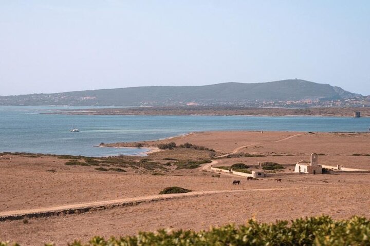 ASINARA ISLAND-TOUR full day Minivan in the National Park