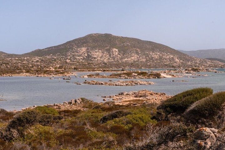 ASINARA ISLAND-TOUR full day Minivan in the National Park