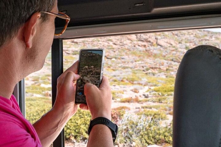 ASINARA ISLAND-TOUR full day Minivan in the National Park