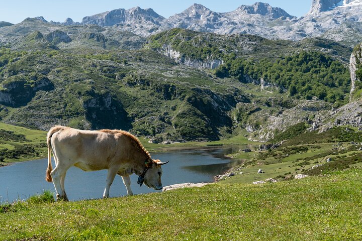 Excursion to the Lakes and Covadonga from Cangas de Onís