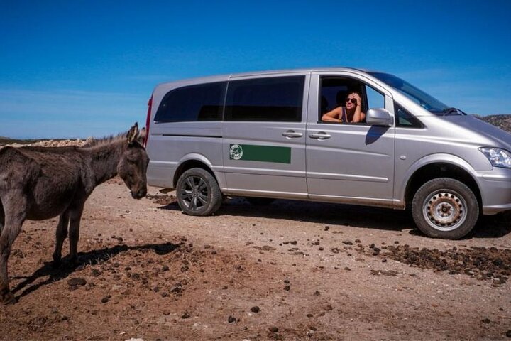 ASINARA ISLAND-TOUR full day Minivan in the National Park