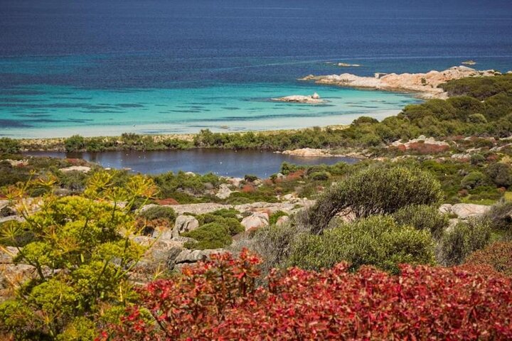 ASINARA ISLAND-TOUR full day Minivan in the National Park