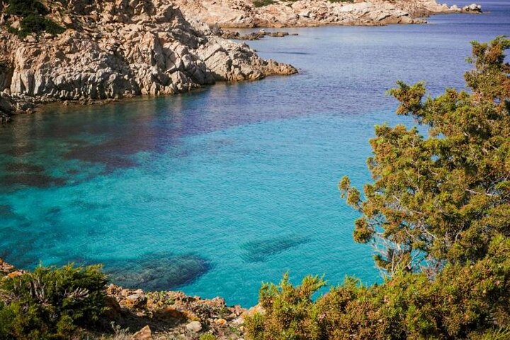 ASINARA ISLAND-TOUR full day Minivan in the National Park