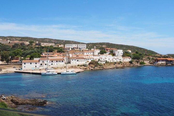 ASINARA ISLAND-TOUR full day Minivan in the National Park