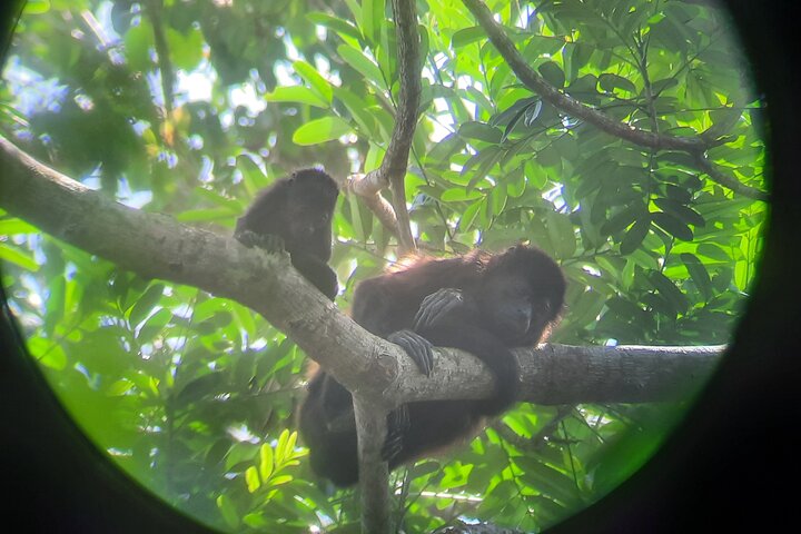Tortuguero National Park Canoe Tour