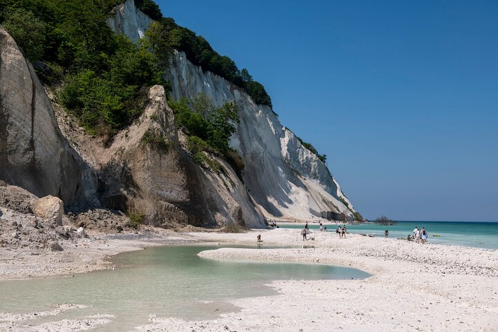 Møns klint and The Forest tower - A day tour from Copenhagen