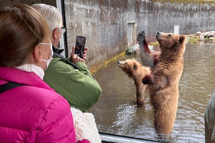 Best of Sitka Land Tour / Bears, Raptors, Totems