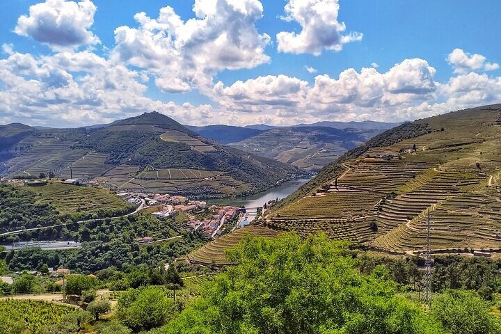Régua: Prime Douro Valley Tour: 9 wines, Trad. Lunch & Priv. Boat