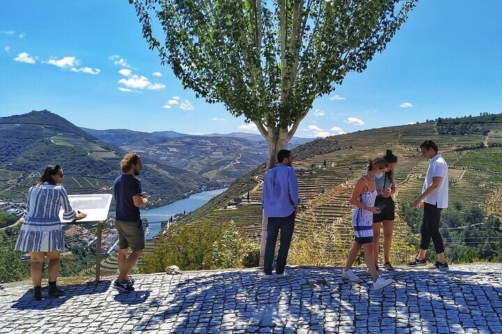 Régua: Prime Douro Valley Tour: 9 wines, Trad. Lunch & Priv. Boat