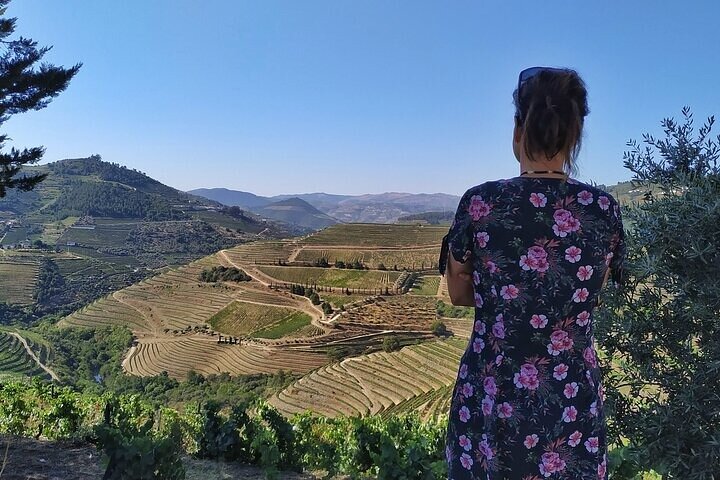 Régua: Prime Douro Valley Tour: 9 wines, Trad. Lunch & Priv. Boat