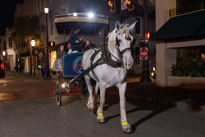 Charleston Haunted Horse and Carriage Evening Tour