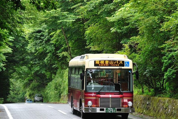 Hakone Free Pass, 2-3 Days Travel Voucher Japan
