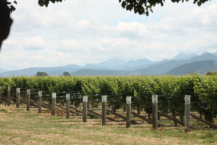 Marlborough Classic Wine Tasting Tour.