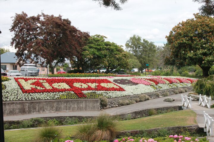 Picton & Blenheim Scenic Tour