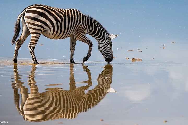 Half Day Guided Tour in Nairobi National Park With 4*4 Vehicle