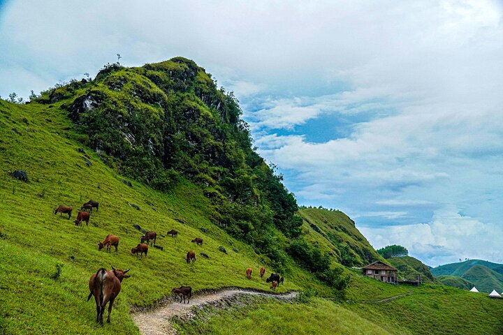 Cao Bang Loop 3 Days Easy Rider with The Loop Tours