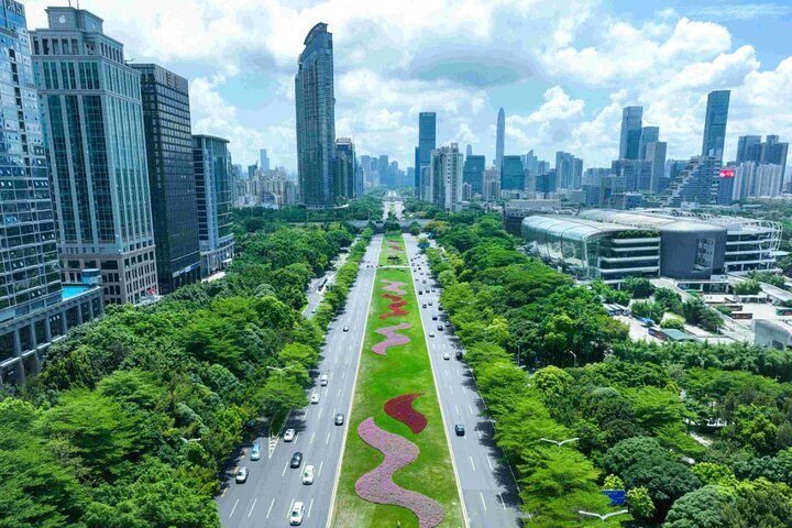 Shenzhen Private Day Tour with Car Service Tech+Culture+Shopping