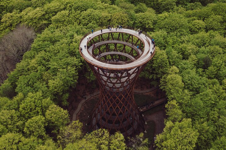 Møns klint and The Forest tower - A day tour from Copenhagen
