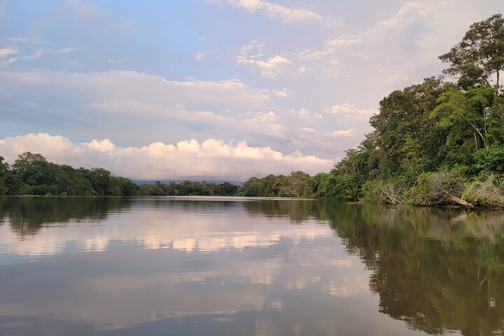 River and Mangrove Tour in Sierpe