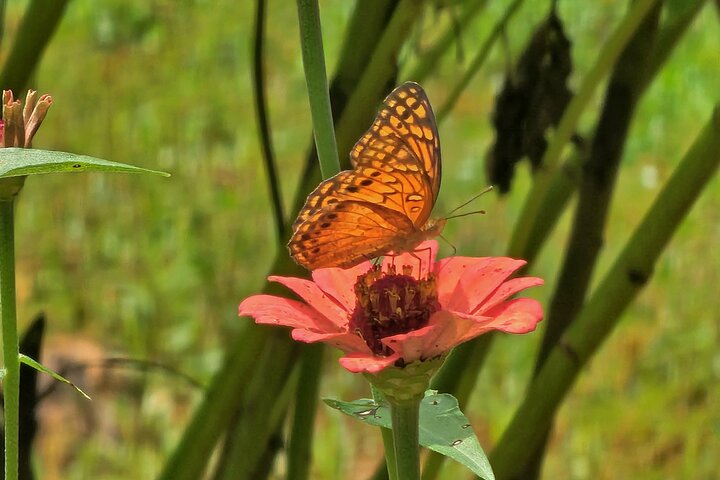 7 Days in Chapada das Mesas Nature and Culture