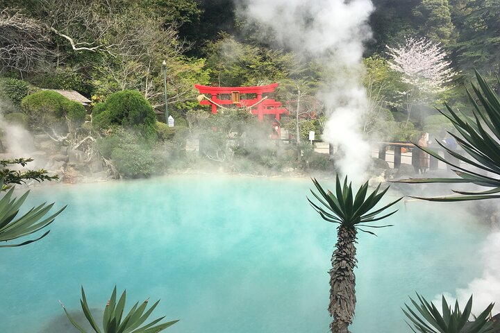 Beppu’s Hidden Gems & Highlights: Exclusive Private Minivan Tour