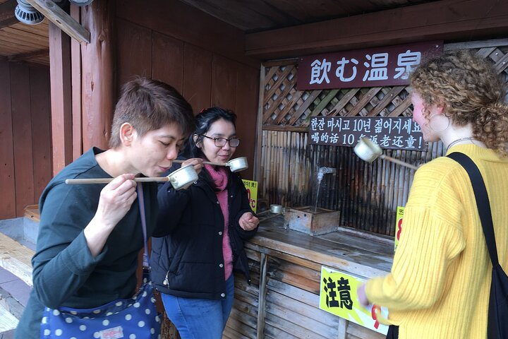 Beppu’s Hidden Gems & Highlights: Exclusive Private Minivan Tour