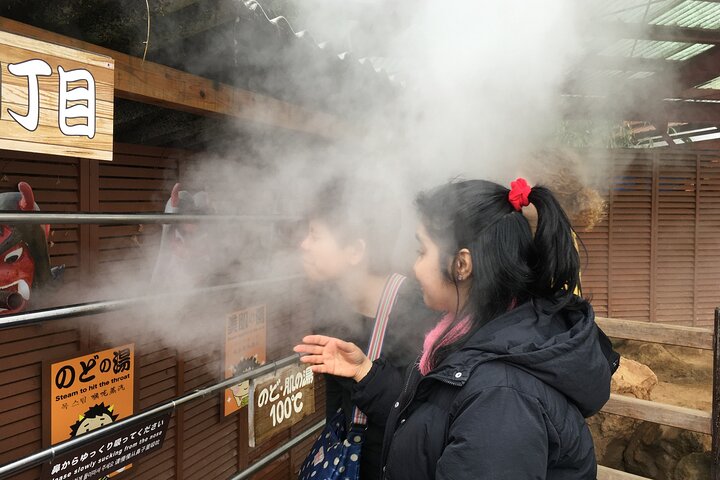 Beppu’s Hidden Gems & Highlights: Exclusive Private Minivan Tour