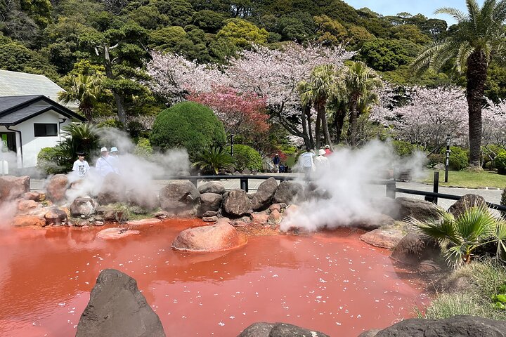 Beppu’s Hidden Gems & Highlights: Exclusive Private Minivan Tour