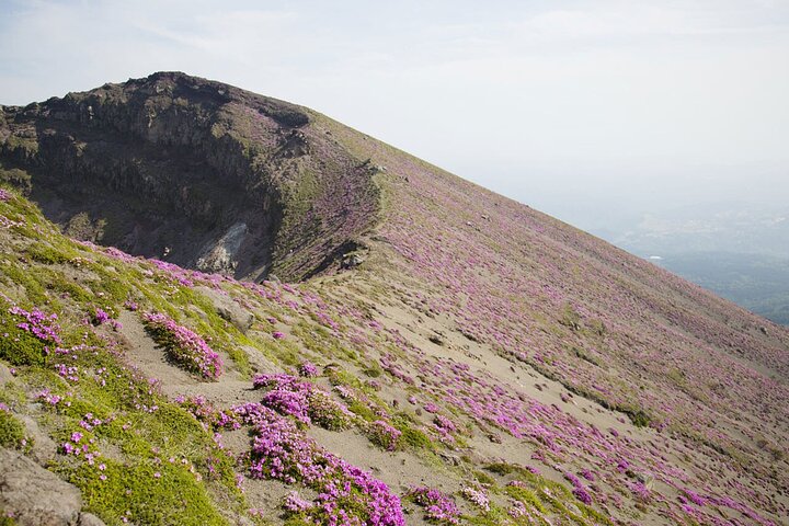 Active Volcano Hiking Tour: Mt. Shinmoe, Miyazaki–Kagoshima,Japan
