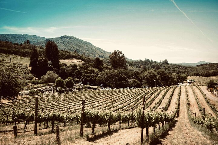 Chinon Gourmet ride with a Chef
