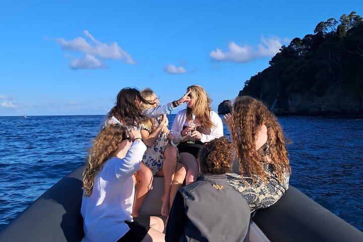 Portofino San Fruttuoso and Camogli One Day Boat Tour