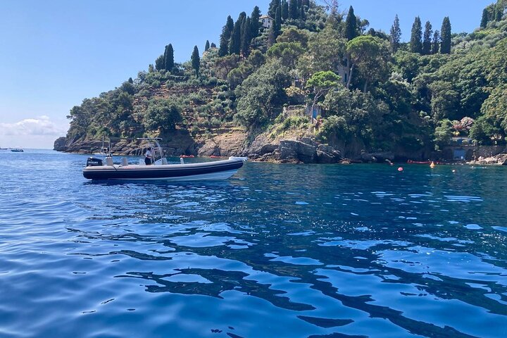 Portofino San Fruttuoso and Camogli One Day Boat Tour