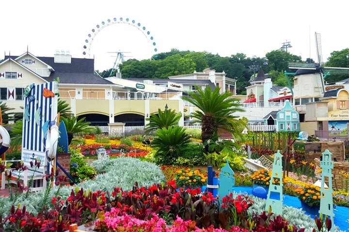 Everland Theme Park Entry Ticket