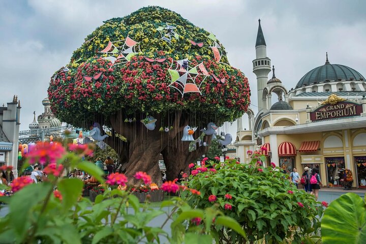 Everland Theme Park Entry Ticket