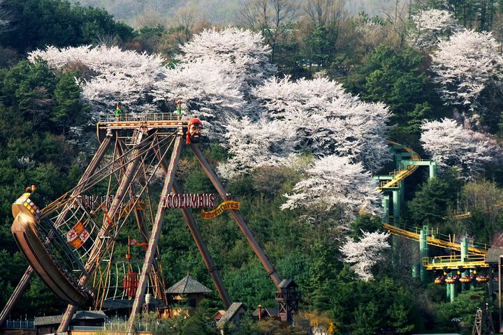 Everland Theme Park Entry Ticket