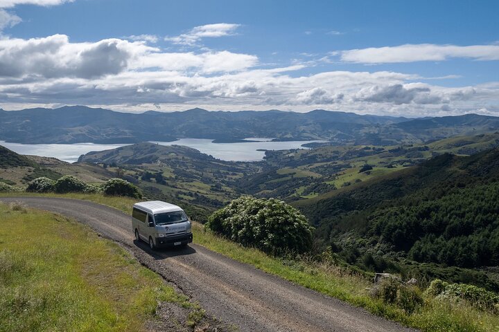 Akaroa Nature and History Private Tour - The 7th Generation