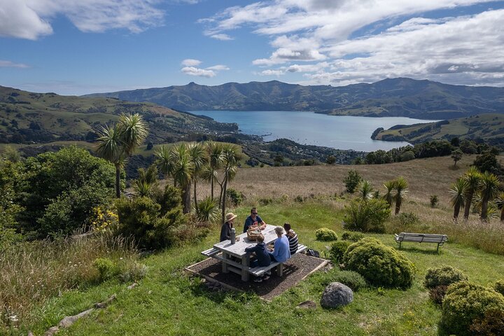 Akaroa Nature and History Private Tour - The 7th Generation