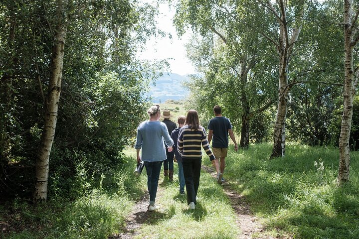 Akaroa Nature and History Private Tour - The 7th Generation