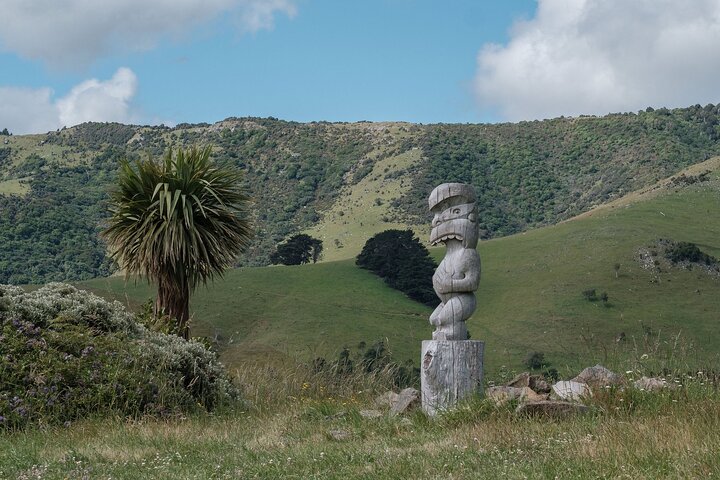Akaroa Nature and History Private Tour - The 7th Generation