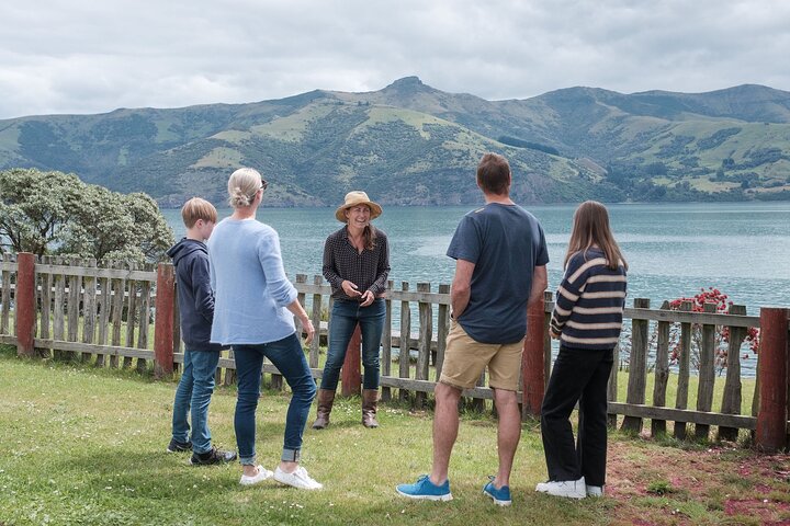 Akaroa Nature and History Private Tour - The 7th Generation
