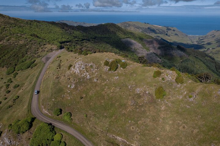 Akaroa Nature and History Private Tour - The 7th Generation