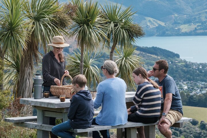 Akaroa Nature and History Private Tour - The 7th Generation