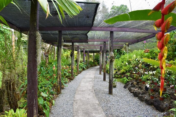 Fiji Lautoka Shore Excursions Tour