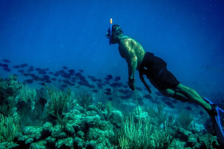 Norman Island - The Indians & The Caves Sailing & Snorkel Tour