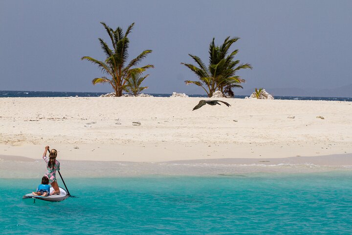 Jost Van Dyke - Sandy Spit & Soggy Dollar Sailing Tour in the BVI